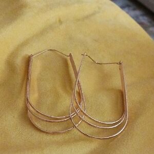 Elegant Gold Hoop Earrings